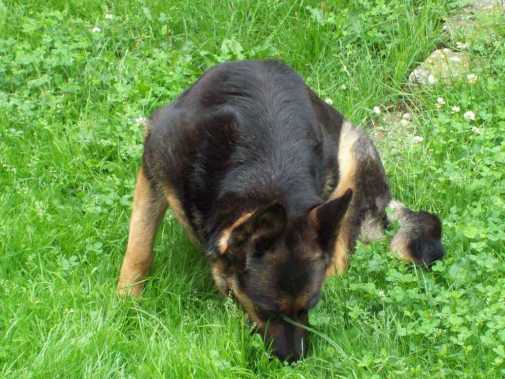 100_0302.JPG