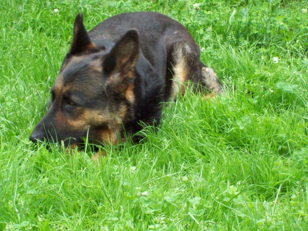 100_0303.JPG