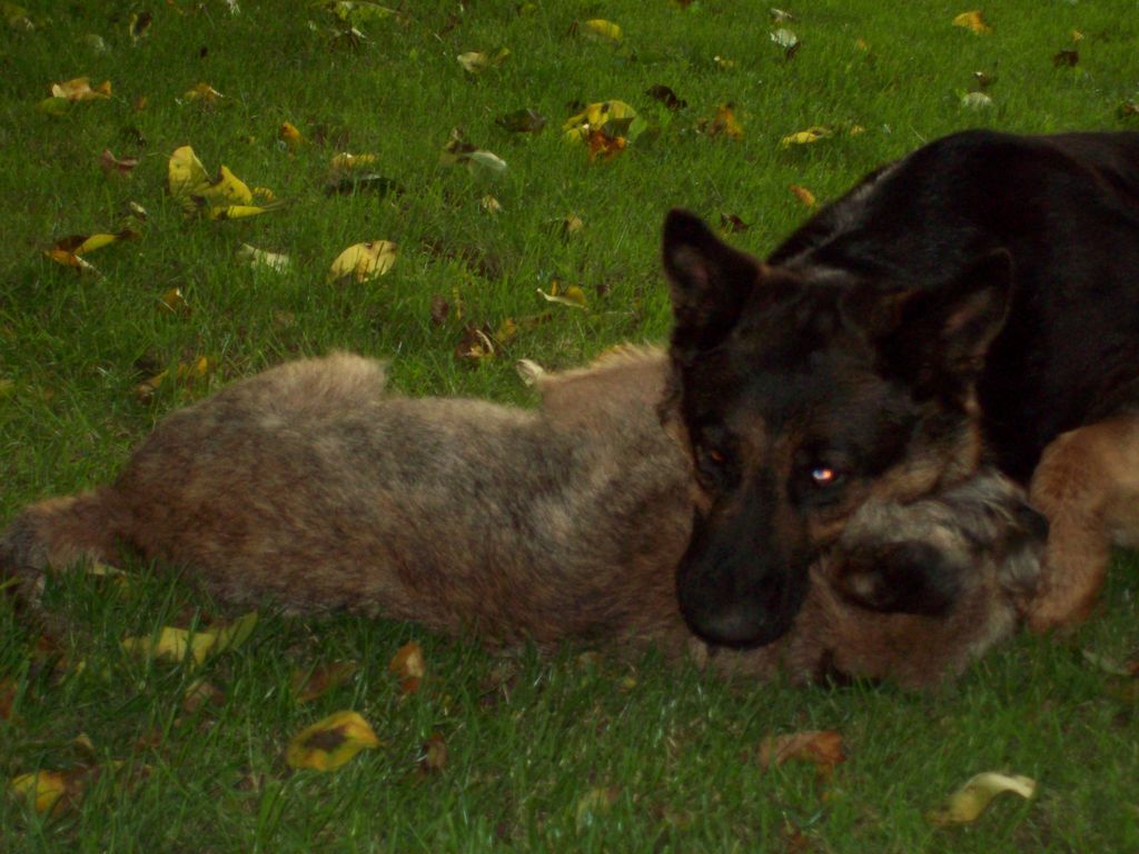 100_0309.JPG